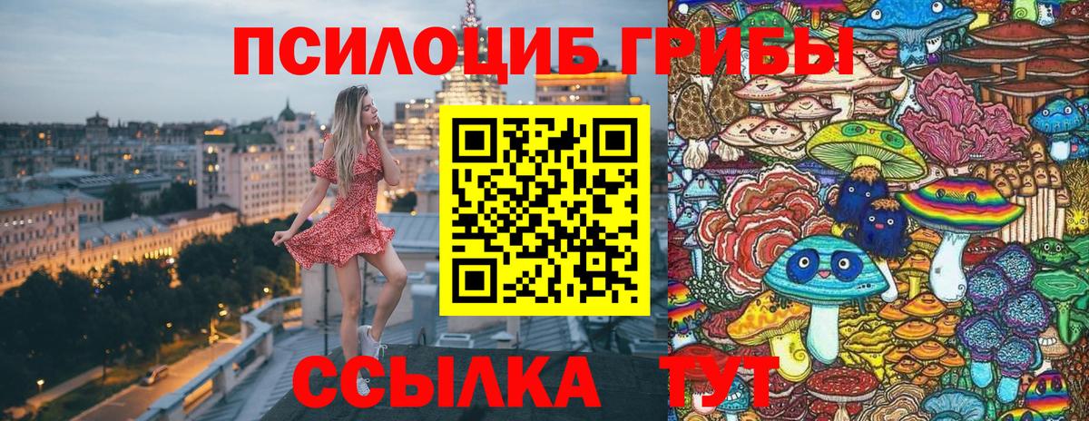 Псилоцибиновые грибы прущие грибы Оренбург