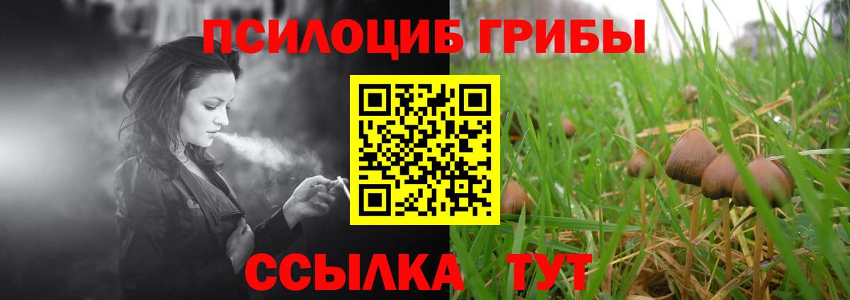 Галлюциногенные грибы прущие грибы  Галлюциногенные грибы Psilocybe  Вход с VPN  Оренбург 